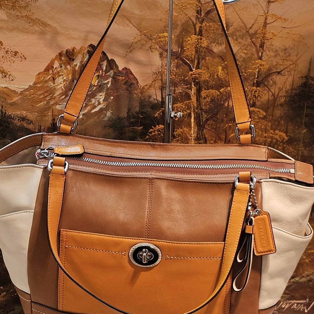 Coach Carrie Colorblock Leather Shoulder Bag - Picture 3 of 16